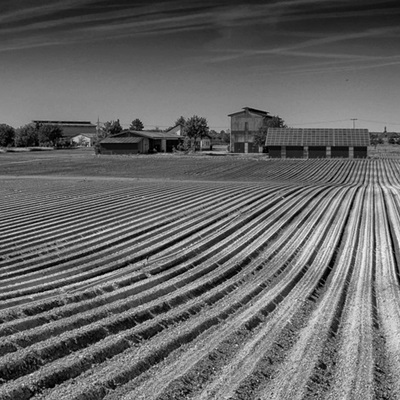 Tobacco farm in Oftersheim, Germany