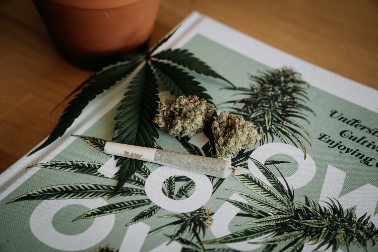 Cannabis nuggets and joint rolled in RAW paper on printed guide for cannabis users