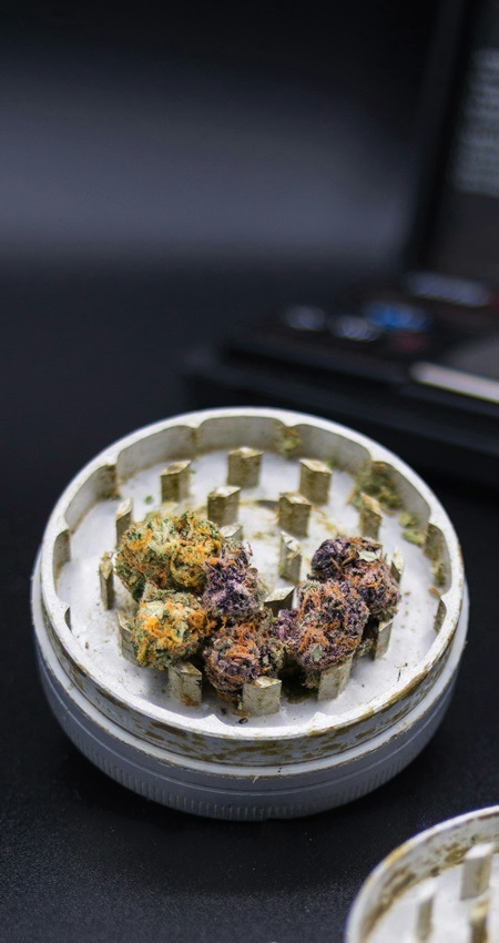 Stainless steel grinder with ground cannabis between metal teeth