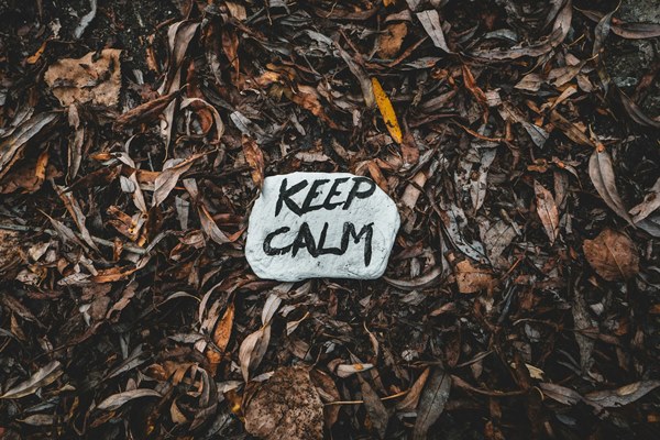 'Keep calm' on flat stone in pile of brown leaves