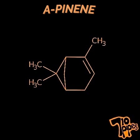 A-Pinene molecule symbol