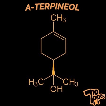 A-Terpineol molecule symbol