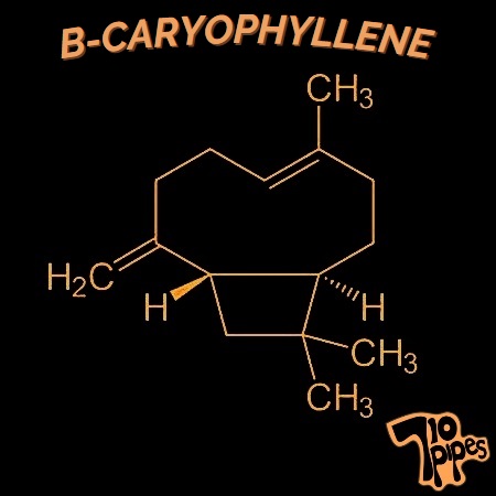 B-caryophyllene molecule symbol