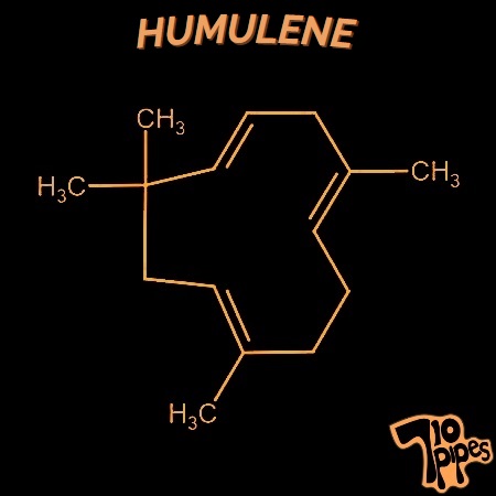 Humulene molecule symbol