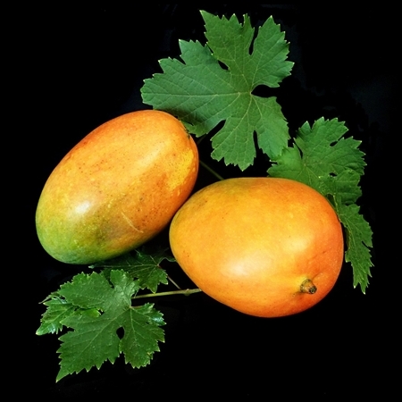 Two mangos and leaves