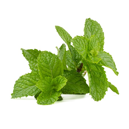 Mint leaves