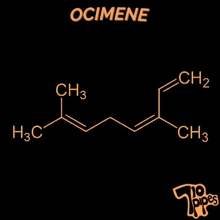 Ocimene molecule symbol