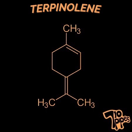 Terpinolene molecule symbol